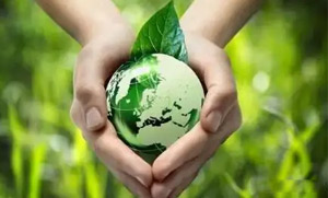 leyu乐鱼（中国）官方网站-乐鱼(中国)零碳（近零碳）发展战略和实施方案